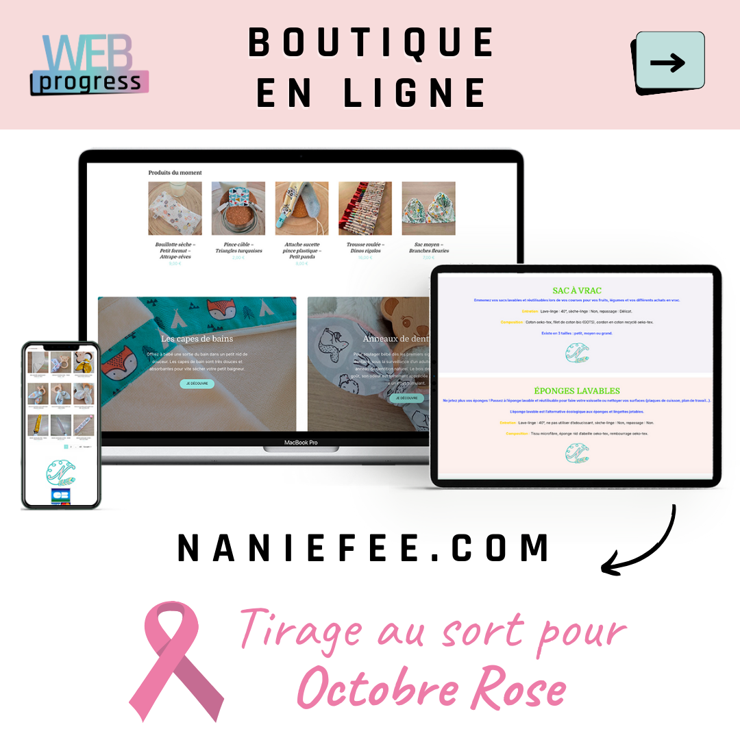 3 WEB PROGRESS pour Nanifée